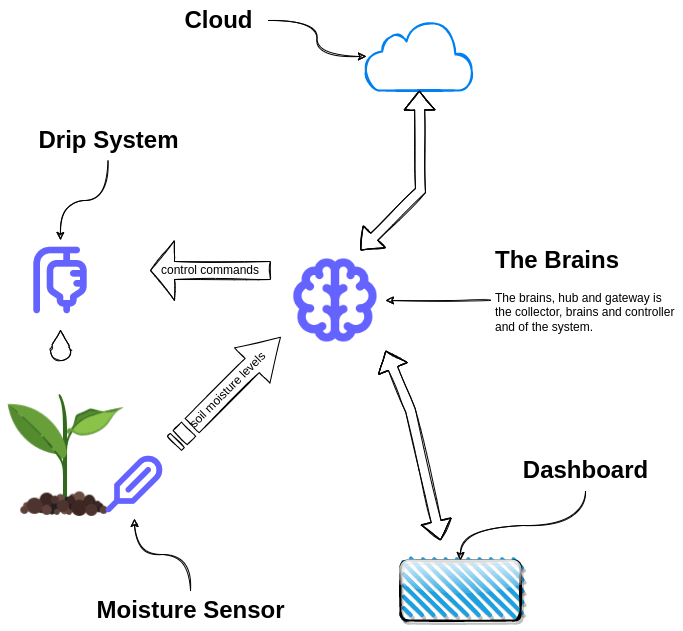 Garden Diagram